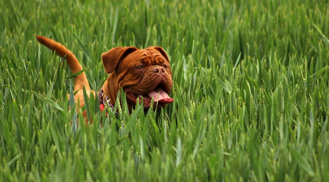 三山純のWEBライフ！