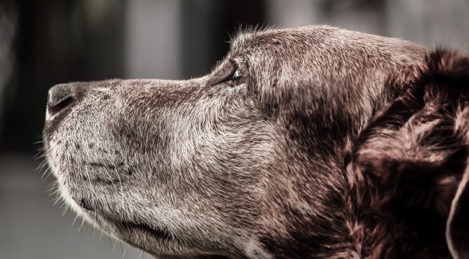 三山純のWEBライフ！