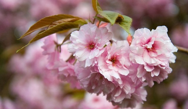 三山純のWEBライフ！