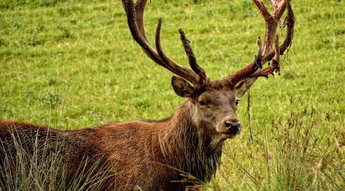 三山純のWEBライフ！